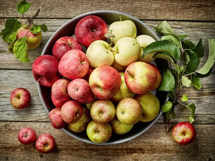 apples seasonal fruit why is it good to eat it benefits