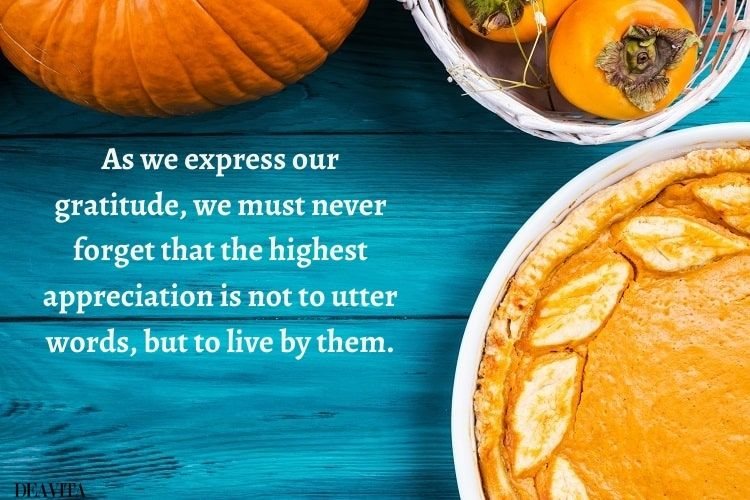 appreciation quotes_quotes for thanksgiving