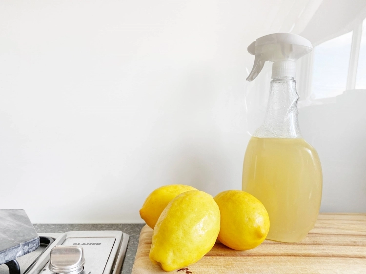 how to get rid of fleas in house homemade lemon and white vinegar spray flea disinfection