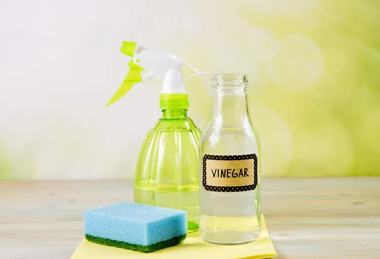 cleaning with vinegar_vinegar cleaning