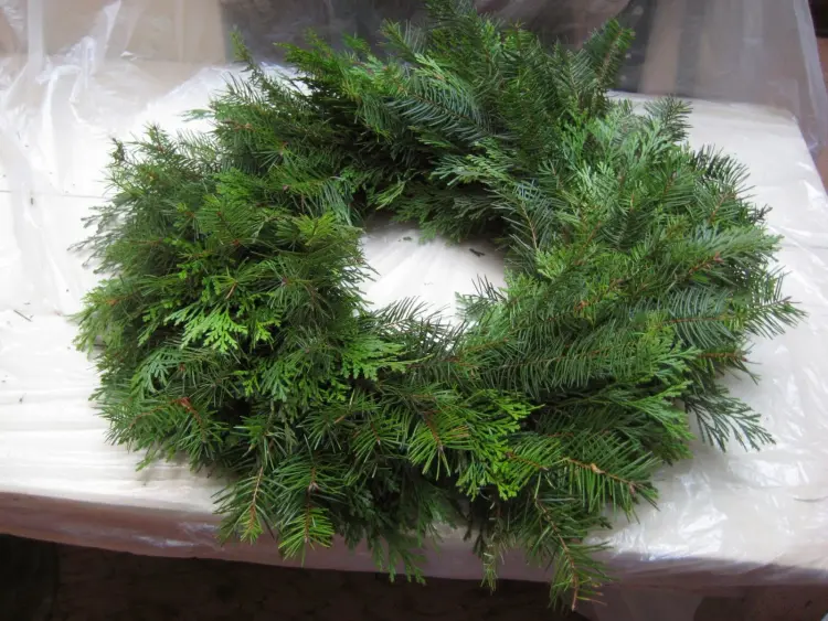 conifer wreath base twisting branches around soft thick wire