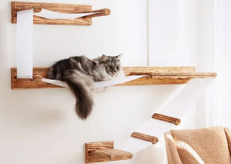 diy shelves_easy cat shelves