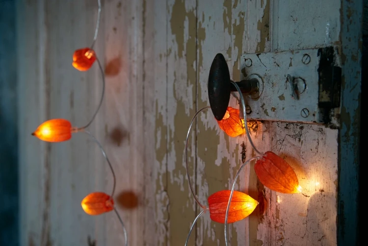 easy thanksgiving crafts for adults physalis fairy lights garland