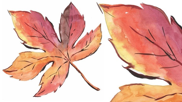 draw a leaf using paint easy arts and crafts for children