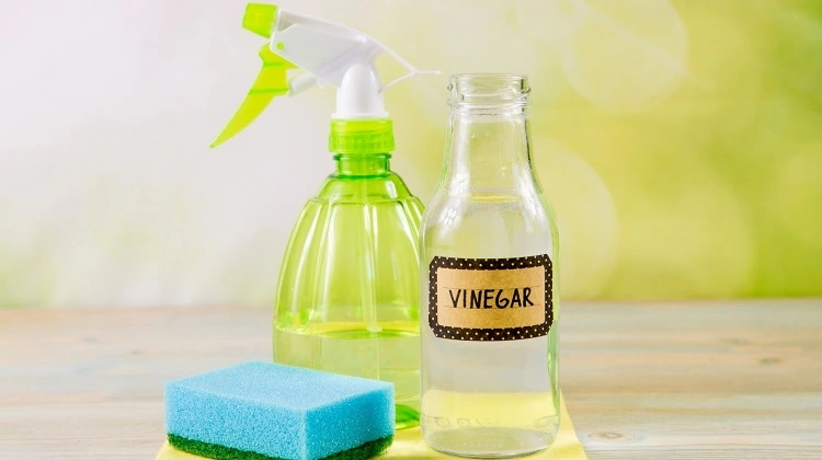 home-cleaning-product-vinegar-natural-origin