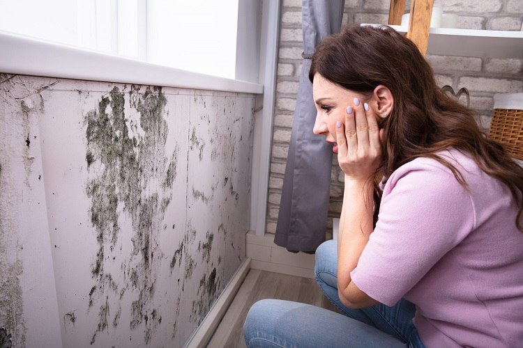 how to get rid of mould on the wall home remedies removing mildew