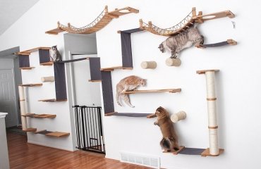 how to install cat shelves_diy cat shelves