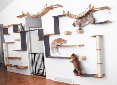 how to install cat shelves_diy cat shelves