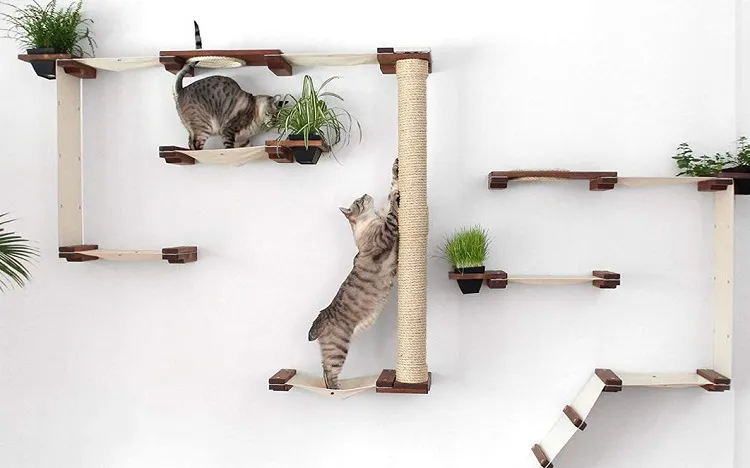 how to install cat shelves_shelves for cats