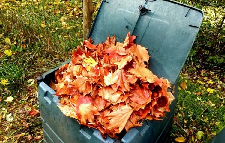 how to make a compost with leaves_diy garden compost