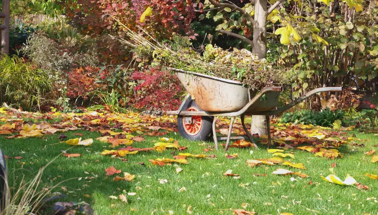 how to prepare garden soil for new plants in autumn