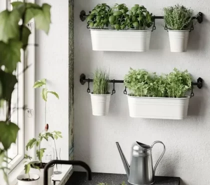 kitchen interior design ideas biophilic trends 2023 fresh spices improving mental health benefits