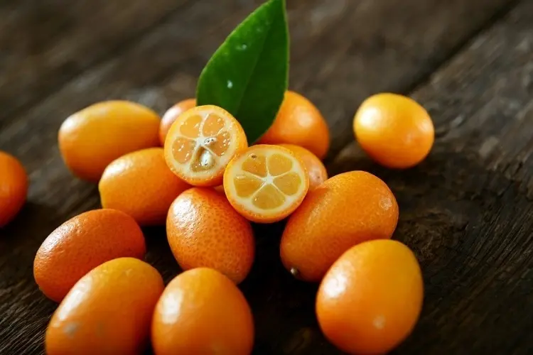kumquats health benefits healthy lifestyle seasonal fruits november