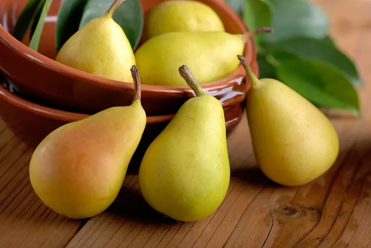 pears when in season November fruits 2022 healthy lifestyle
