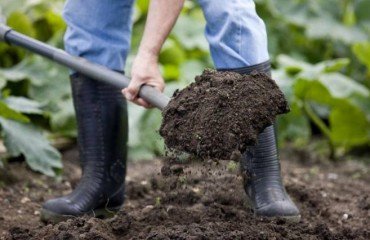 prepare garden for new plant soil tilling ploughing