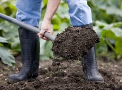 prepare garden for new plant soil tilling ploughing