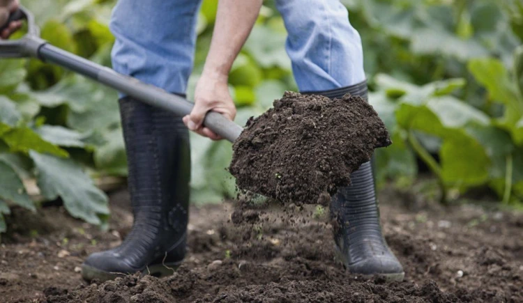 prepare garden for new plant soil tilling ploughing