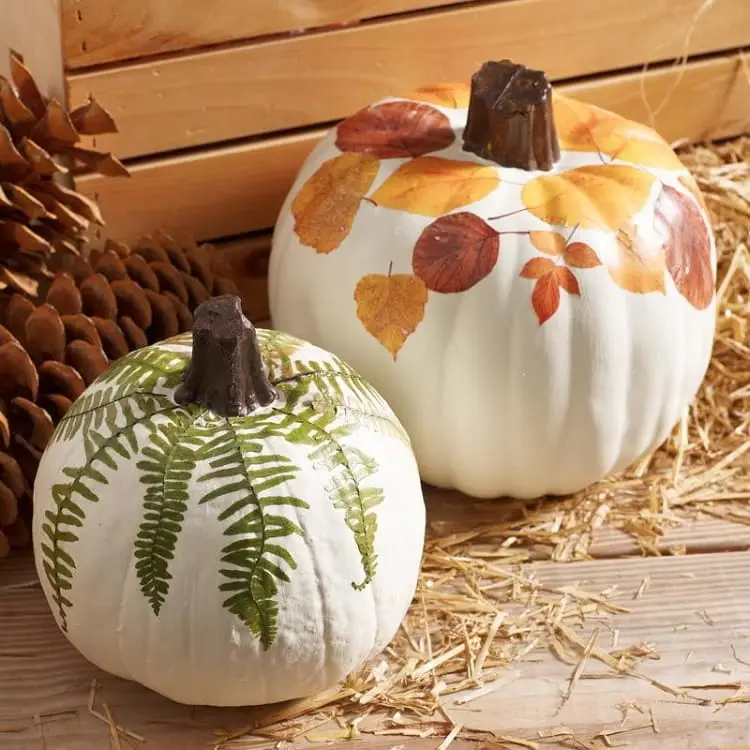 pumpkin thanksgiving decorations_painted pumpkins decoration