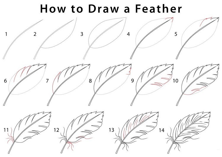 step by step tutorial on how to draw feathers teach your children art craft