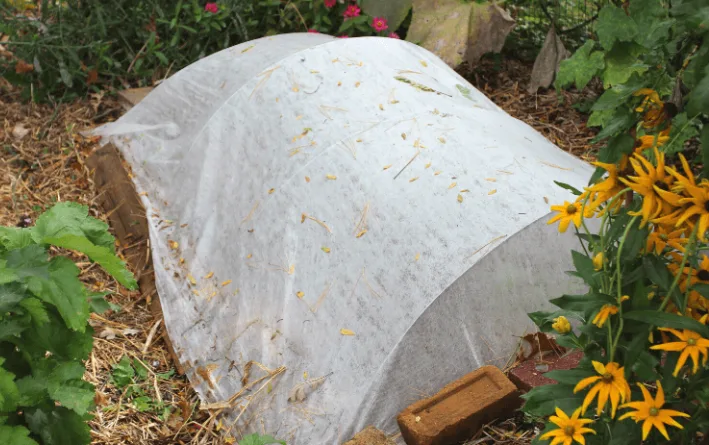 tunneled structure protecting mums from frost waterproof cover