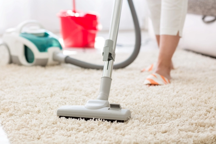 vacuum cleaner flea prevention at home vacuuming carpets