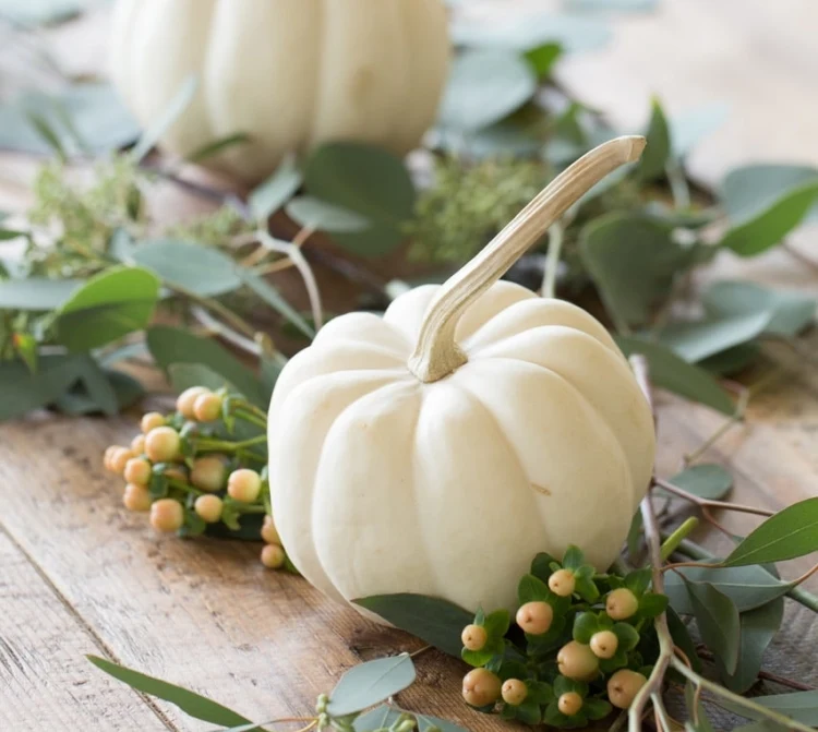 white pumpkins eucalyptus centerpiece elegant and simple idea for Thanksgiving