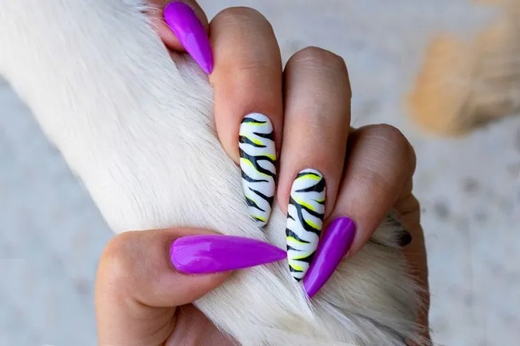 zebra nails with a purple color