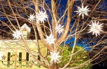 Christmas-outdoor-decoration-ideas-how-to-decorate-an-outdoor-tree