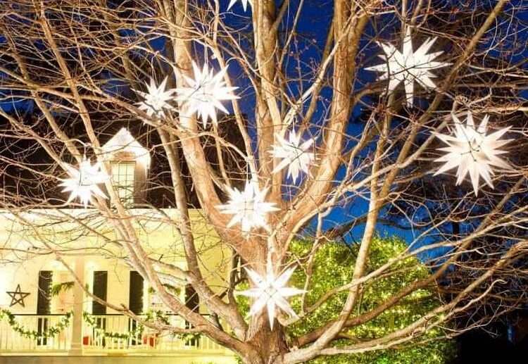Christmas-outdoor-decoration-ideas-how-to-decorate-an-outdoor-tree