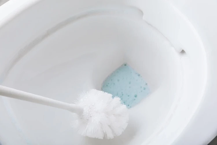 How to clean the toilet bowl Grandma Tricks