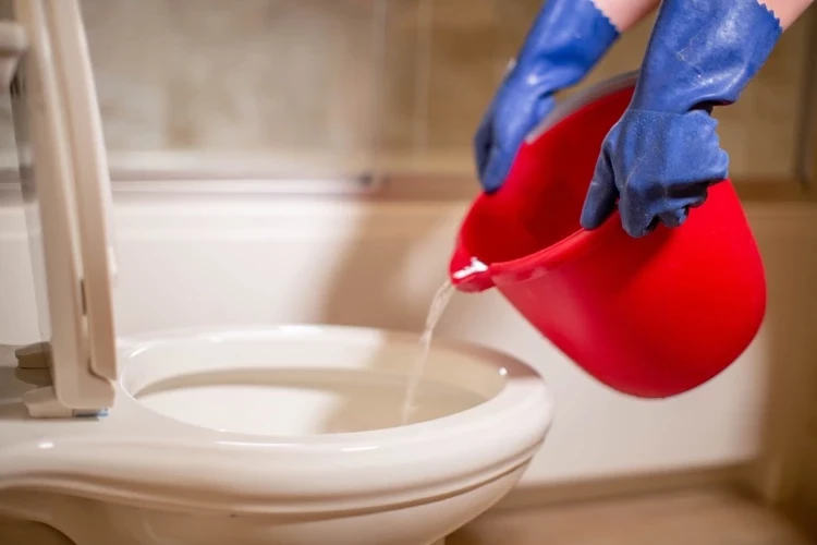 How to clean the toilet bowl with vinegar