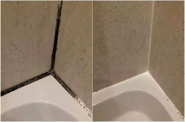 Cómo deshacerse del moho en el baño.