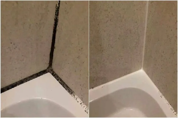 How to Get Rid of Black Mold in Bathrooms