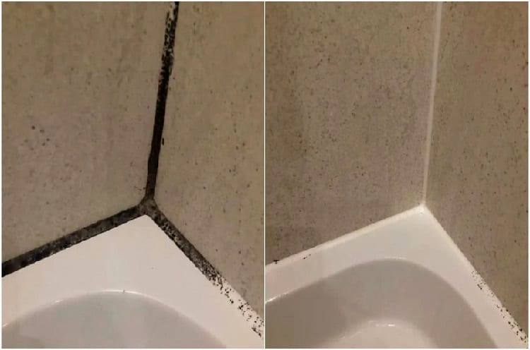 How-to-remove-black-mold-in-the-bathroom