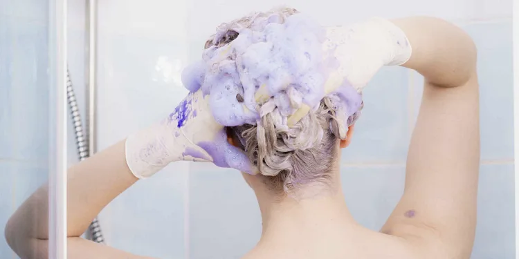 evitar el amarilleo champú púrpura tóner gris para cabello plateado