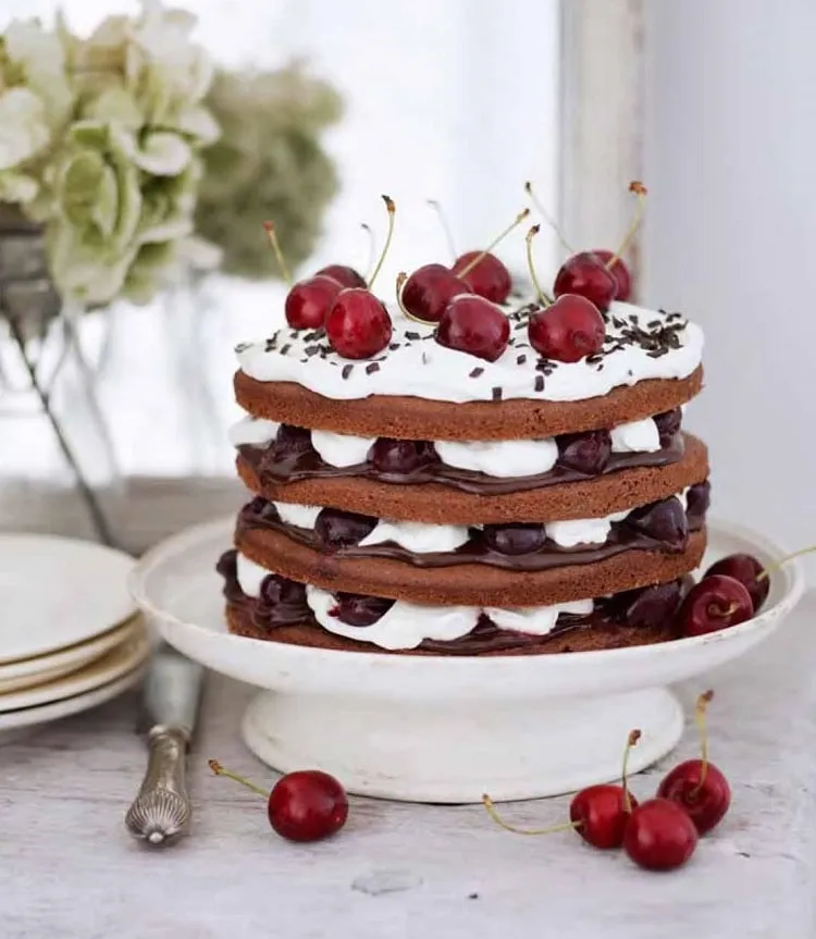 chocolate-cherry-trifle-cake_christmas gluten free desserts