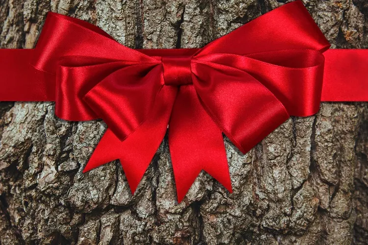 decorate a tree branch for christmas with a red satin ribbon bow