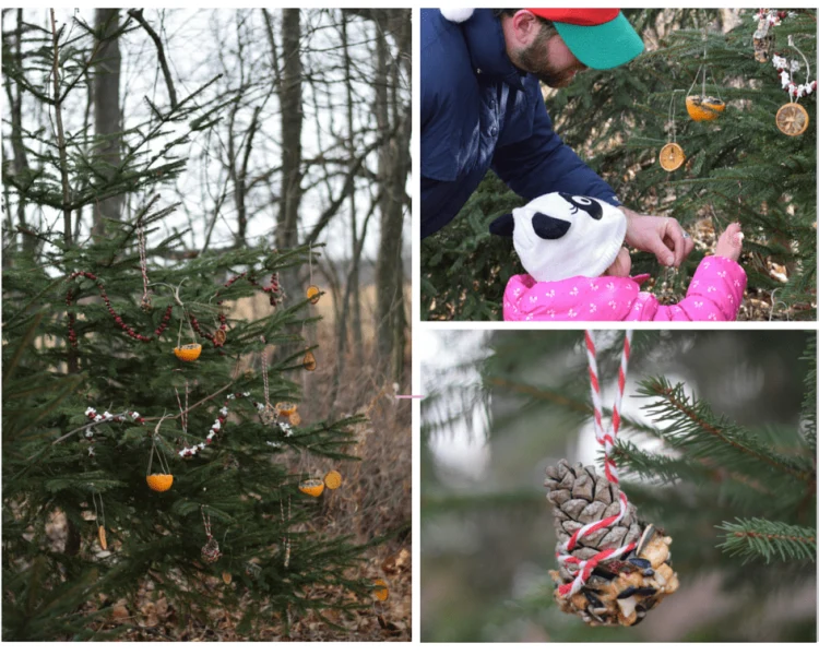 decorating a tree outside with natural materials