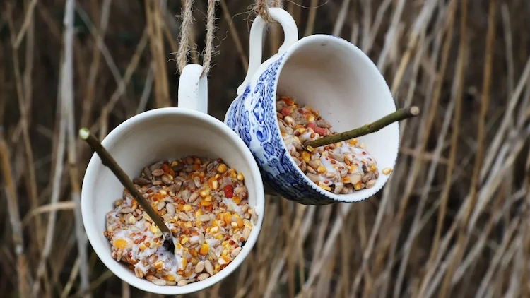diy bird feeder from unusable ceramics like tea cups
