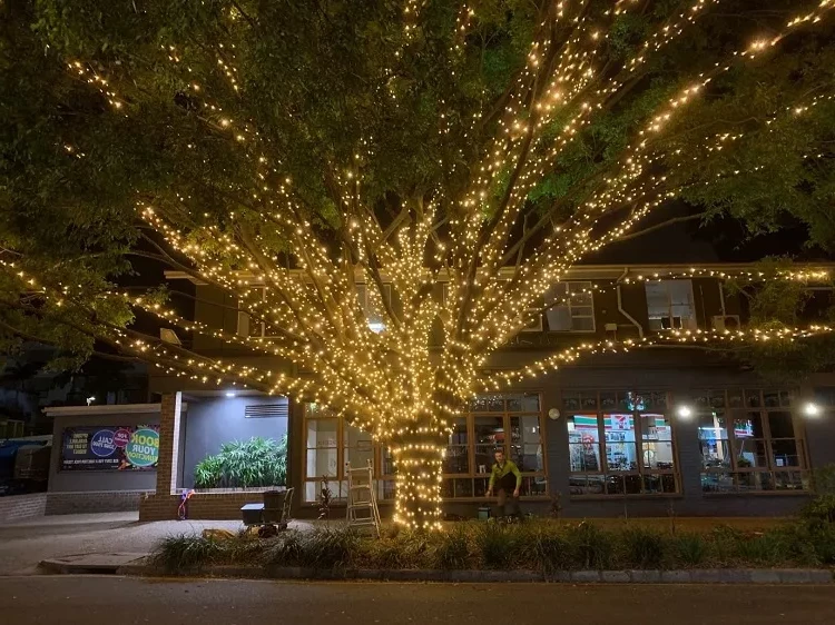 exterior fairy lights for decorating an outdoor tree