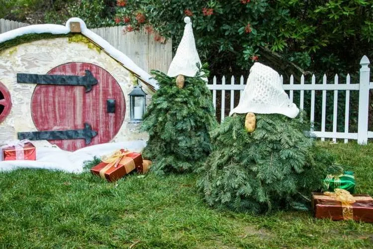 fir trees dressed as little gnomes in front of their house