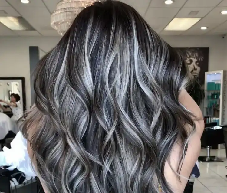 full gray highlights for black hair trendy hairstyle ideas for her to try in 2023 long curled black and gray hair