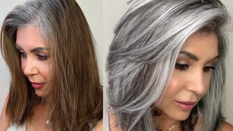 corte de pelo estilo sal y pimienta cabello gris liso aspecto moderno corte de pelo medio corto