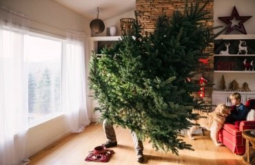 how to keep my christmas tree alive longer tips and tricks ideas 2022 helpful advice