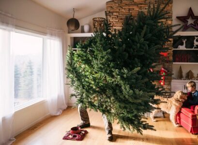 how to keep my christmas tree alive longer tips and tricks ideas 2022 helpful advice