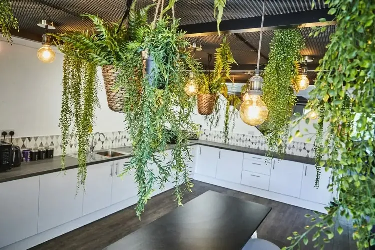 kitchen biophilic design trendy plants nature bio enclosed interior design 2023