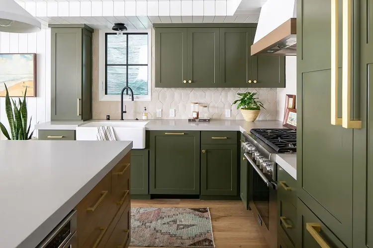 sage green kitchen cabinets with golden handles plants modern interior design ideas and trends