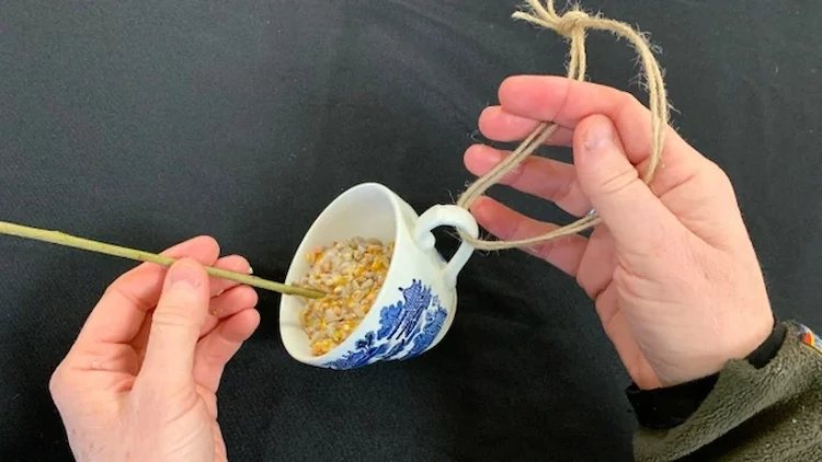 upcycling ideas old cup with a chip DIY bird feeder ideas recycled materials