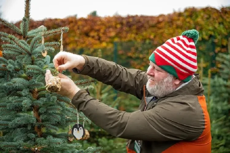 use ornaments from natural materials