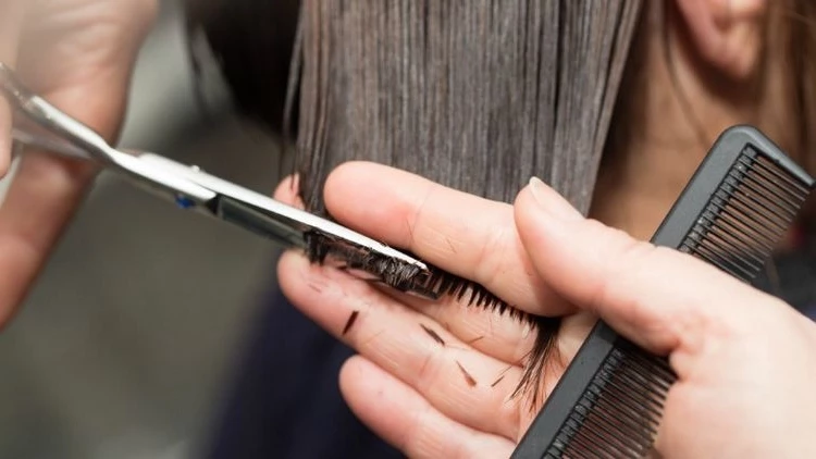 Get a haircut regularly to have healthy hair